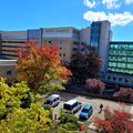 OHSU 2024 accomplishments: The year in review