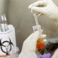 OHSU investigators awarded 3 million for innovative promising research