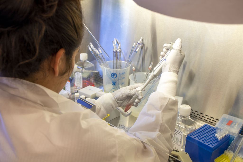 Inside the Sacha Lab: HIV Research in Action