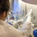 Inside the Sacha Lab: HIV Research in Action