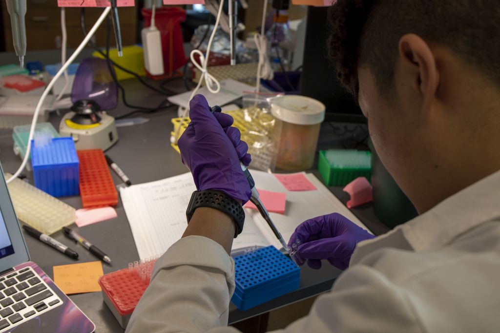 Jeff Tyner Lab 2022