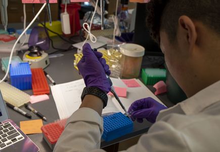 Jeff Tyner Lab 2022