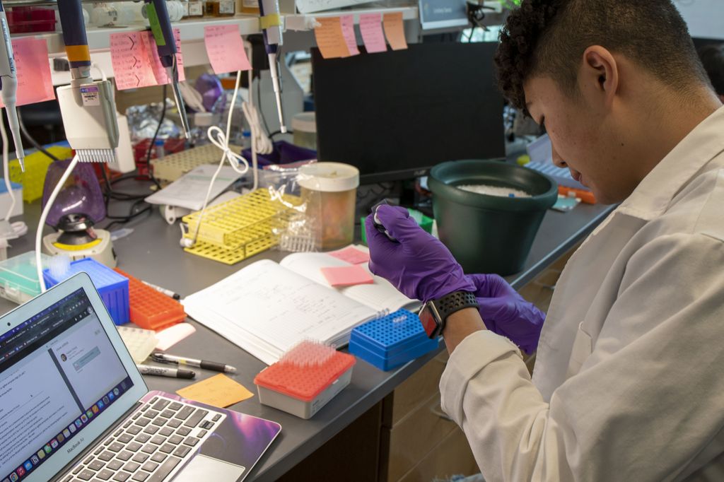 Jeff Tyner Lab 2022