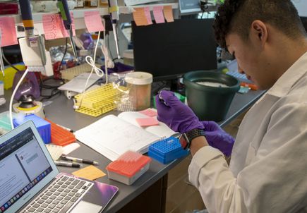 Jeff Tyner Lab 2022
