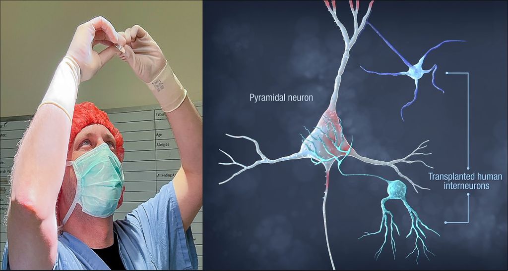 At left, a doctor with raised arms holds up a tube to examine. At right, a computerized image of a neuron and stem cell.
