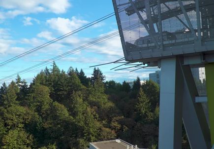 Tram Heading Down to Waterfront