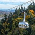Portland Aerial Tram at OHSU on a fall day