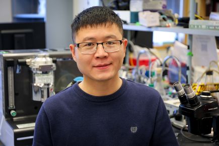 Lei Ma, Ph.D.