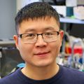 Lei Ma, Ph.D., works inside the Haining Zhong lab at OHSU’s Vollum Institute on Tuesday, Nov. 15, 2022. (OHSU/Christine Torres Hicks)