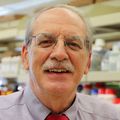 Leslie Myatt, Ph.D., in lab