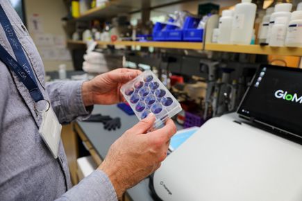 20221202 Daniel Streblow Lab 2
