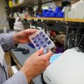20221202 Daniel Streblow Lab 2