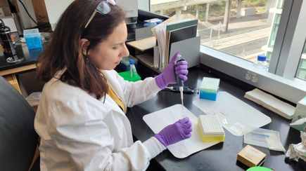 New research helps explain how inflammation increases COVID-19 vulnerability