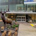 Elks Children's Eye Clinic