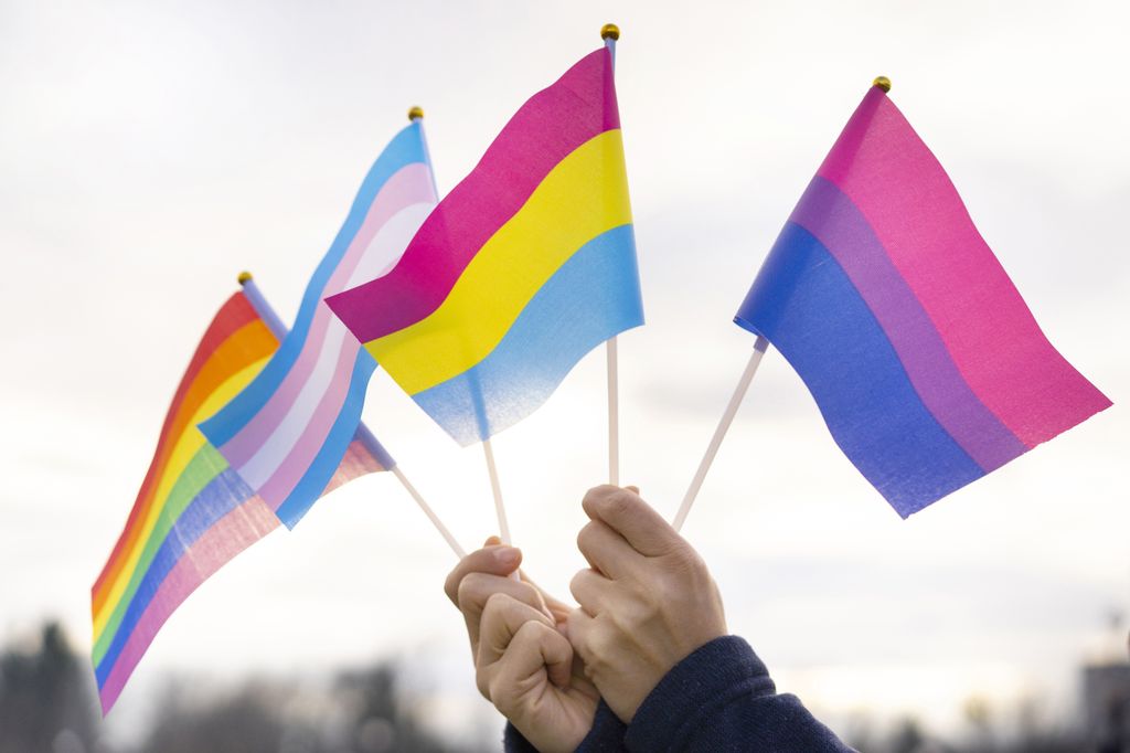 Two Caucasian hands holding small flags, from left to right: rainbow (LGBTQ+ pride); blue, white and pink (transgender pride); pink, yellow and blue (pansexual pride); and pink, purple and blue (bisexual pride)