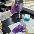 New research helps explain how inflammation increases COVID-19 vulnerability