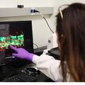 New research helps explain how inflammation increases COVID-19 vulnerability