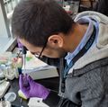 New research helps explain how inflammation increases COVID-19 vulnerability