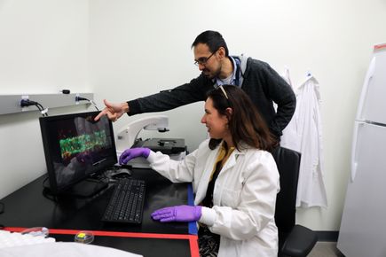 New research helps explain how inflammation increases COVID-19 vulnerability