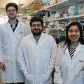 Blood test could reveal transition to cancer in people at risk