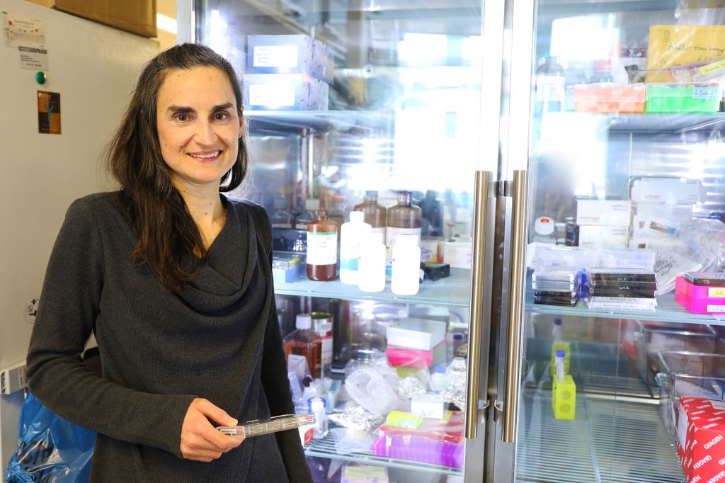 Laura Heiser, Ph.D.  stand near a clear glass refrigerator in her lab.