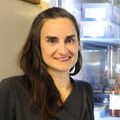 Laura Heiser, Ph.D. 