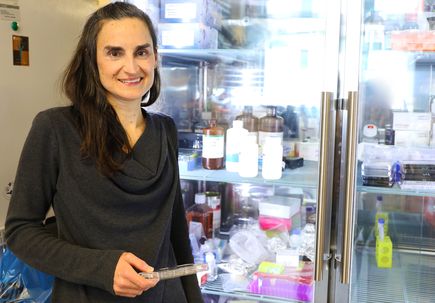 Laura Heiser, Ph.D. 