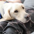 Casey joins Doernbecher Children's Hospital