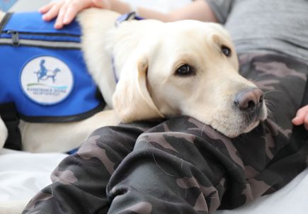 Casey joins Doernbecher Children's Hospital