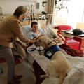 2021_1015_New DCH Dog - Casey 16