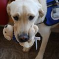 2021_1015_New DCH Dog - Casey 13