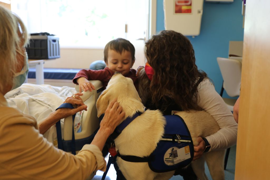 DCH patient with Casey facility dog