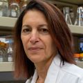 Paula Amato, M.D. in the Mitalipov lab (OHSU)
