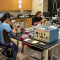 20220804 Mitalipov lab 35