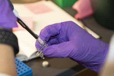 Research in the Tyner lab