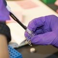 Research in the Tyner lab