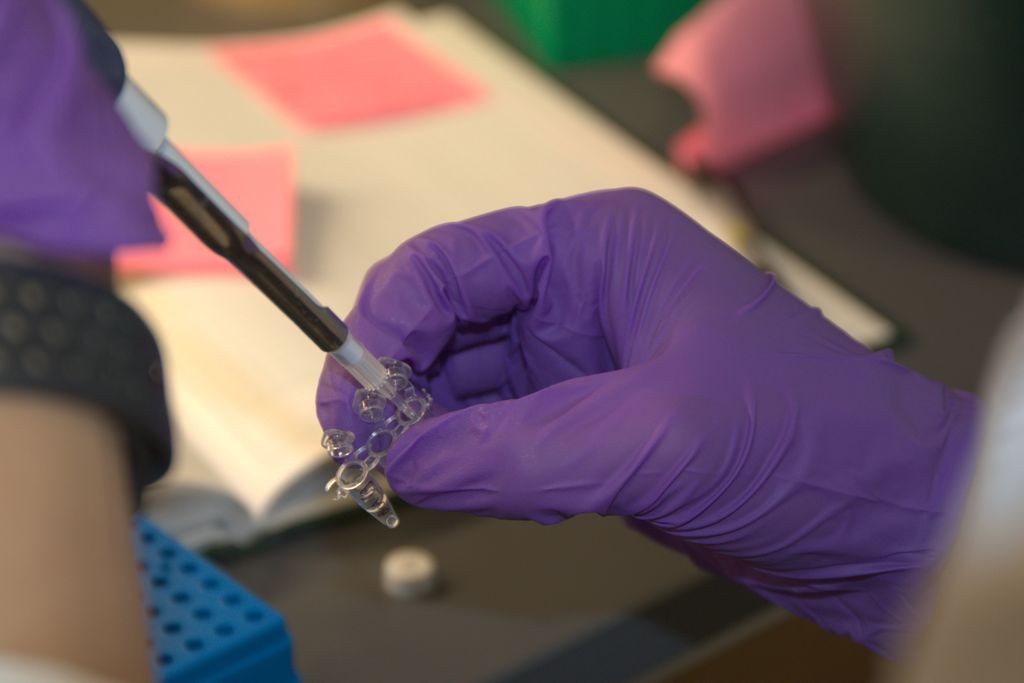 Knight Cancer Institute Research lab work featuring a pipette with liquid being injected into a tube.