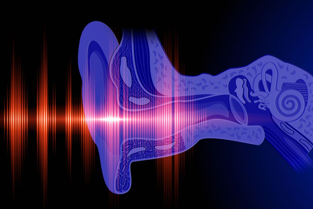 A computer-illustrated image of sound vibrating through the air and into an ear and inner ear parts. An Oregon Hearing Research study could improve cochlear implants.