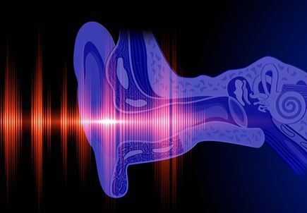 Study reveals how the inner ear discerns low-frequency sound