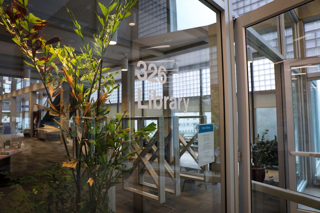 BICC Library 