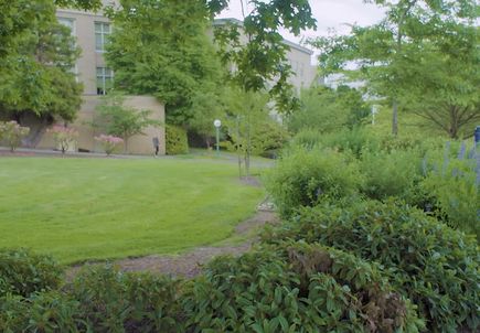 B-roll: Mackenzie Hall Lawn