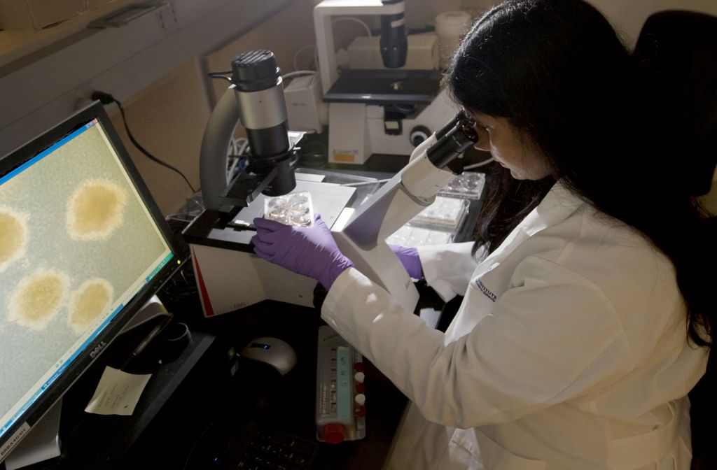Hematology at OHSU