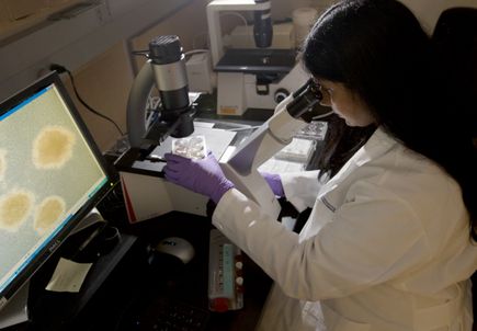 Hematology at OHSU
