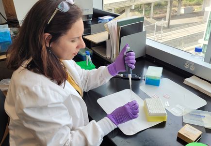 Research helps explain how inflammation increases COVID-19 vulnerability