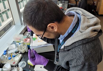 Research helps explain how inflammation increases COVID-19 vulnerability
