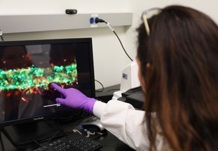 COVID-19 Research at OHSU