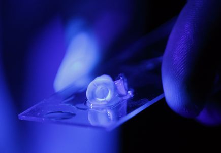 Root canal treatment research