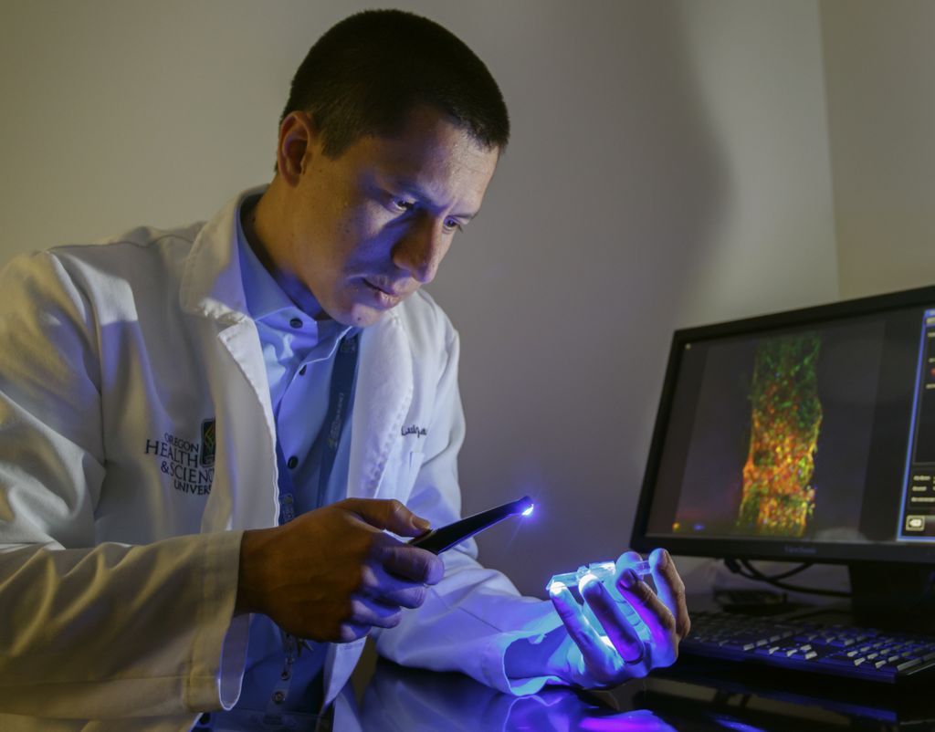 Root canal treatment research