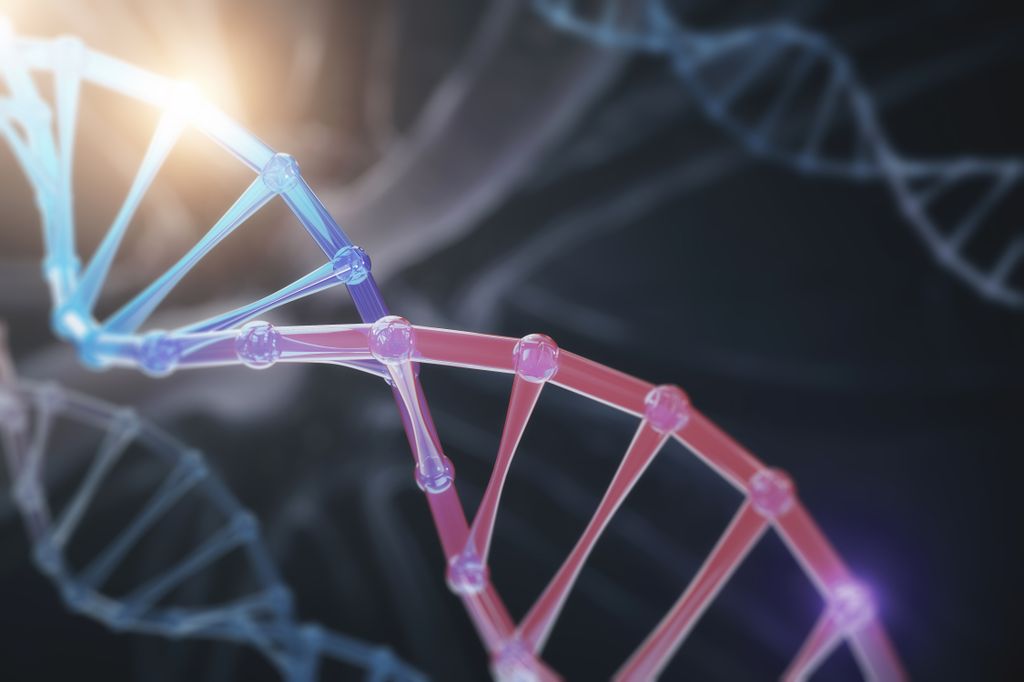 OHSU researchers test gene therapy for Usher syndrome. Usher helix image.