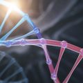New OHSU research suggests in-womb gene correction